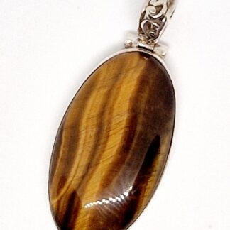 Kaunis, suurem hõberipats tiigrisilmaga, üldpikkusega 4,5 cm.